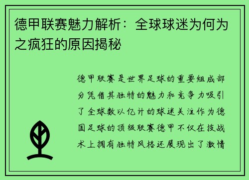 德甲联赛魅力解析：全球球迷为何为之疯狂的原因揭秘